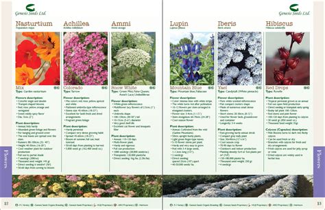 Mail Order Flower Catalogs
