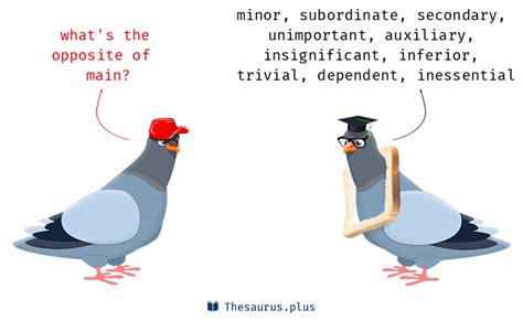 Main Antonym
