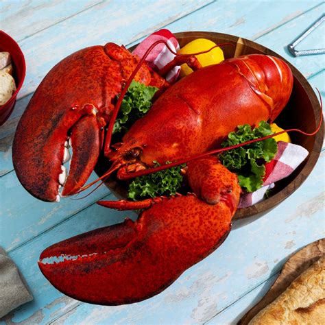main lobster