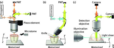 main optical