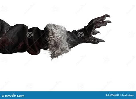 main werewolf