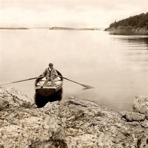 maine connection