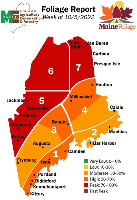 maine foliage report