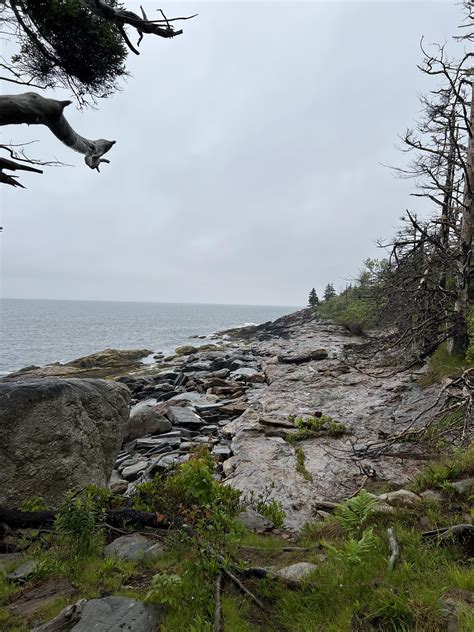 maine reddit
