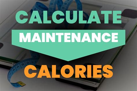 Maintenence Calorie Calculator   Maintenance Calorie Calculator How Much Should I Eat - Maintenence Calorie Calculator