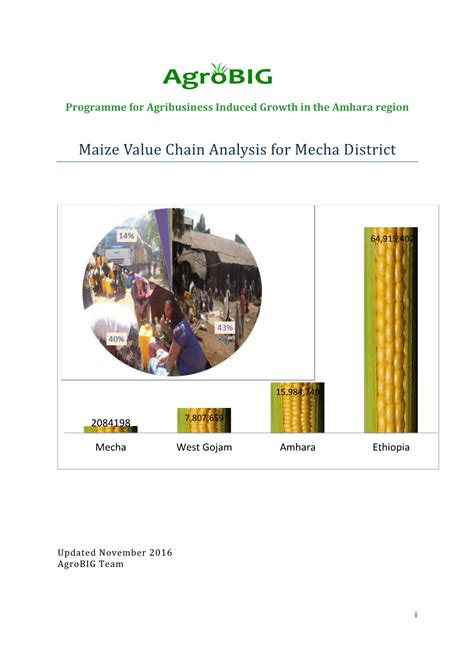 Maize Value Chain Analysis In Ethiopia Thesisr