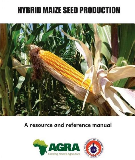 Full Download Maize Hybrid Seed Production Manual 
