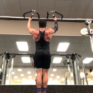 majorpectoralis creator profile