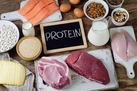 makanan protein tinggi