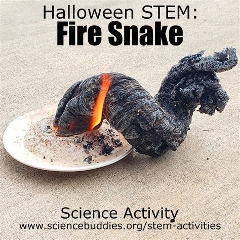 Make A Fire Snake Stem Activity Science Buddies Sand Science Experiment - Sand Science Experiment