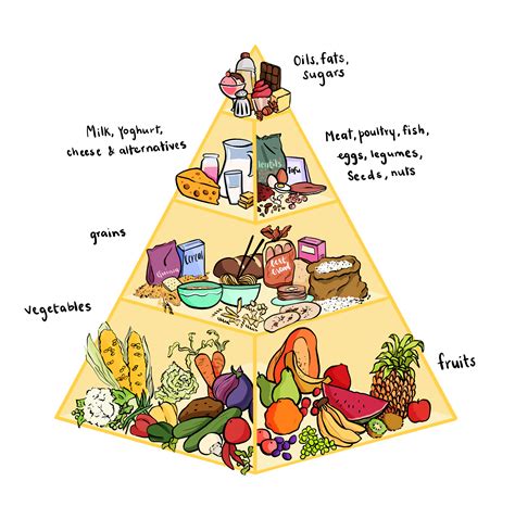 Make A Food Pyramid 50 Nos 8211 Science Food Pyramid Science - Food Pyramid Science
