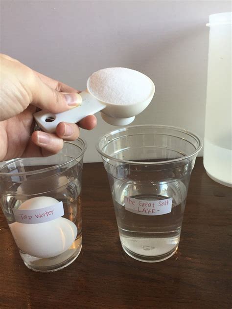 Make An Egg Float In Salt Water Science Floating Egg Science Experiment - Floating Egg Science Experiment