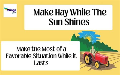 Make Hay While Sun Shines