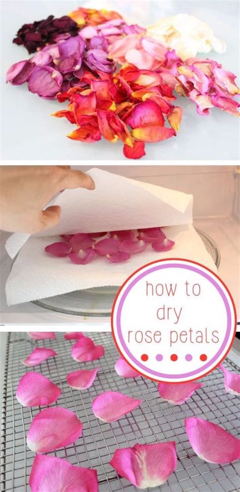 make lipstick out of rose petals using