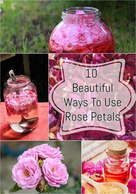 make lipstick out of rose petals using