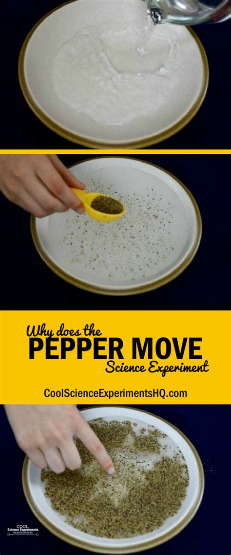 Make Pepper Move Science Experiment Cool Science Experiments Science Experiments With Dish Soap - Science Experiments With Dish Soap