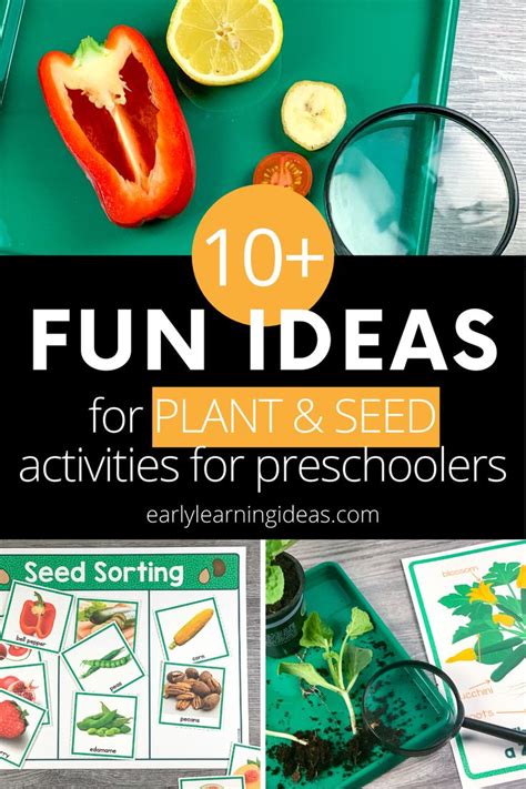 Make Science Exciting With These Plant Activities For Plant Science Activities - Plant Science Activities