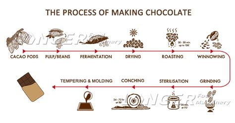 making chocolate from bean to bar to s more a coo