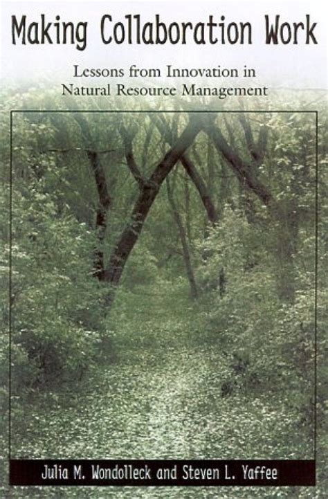 Making Collaboration Work Lessons From Innovation In Natural Resource Managment