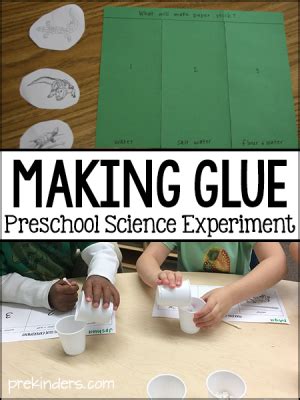 Making Glue Experiment Prekinders Science Experiment With Glue - Science Experiment With Glue