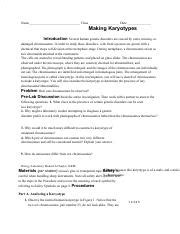 Making Karyotypes Chapter 14 The Human Genome