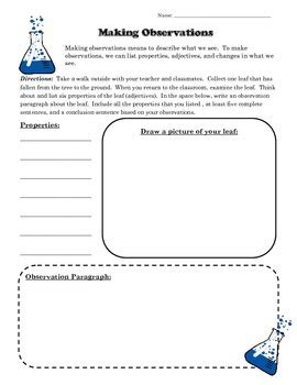 Making Scientific Observations Worksheets Teach Starter Science Observation Activities - Science Observation Activities