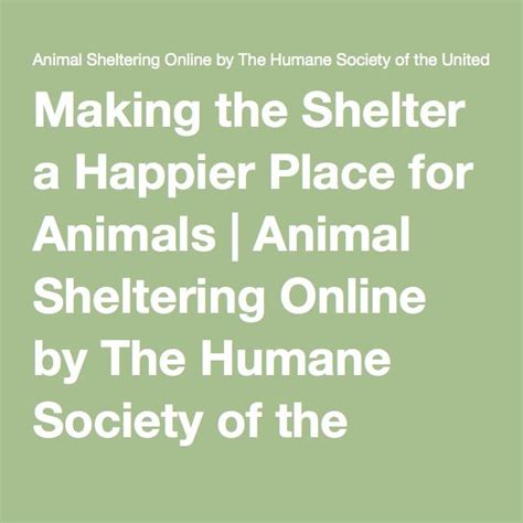Making The Shelter A Happier Place For Animals Animals And Their Shelter - Animals And Their Shelter