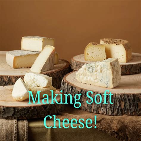 Full Download Making Your Own Cheese How To Make All Kinds Of Cheeses In Your Own Home 