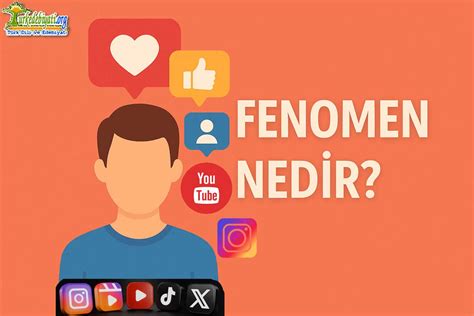 Makro Fenomen Nedir