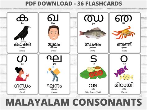 Malayalam Words List