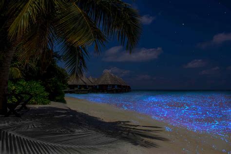 maldives blue sand