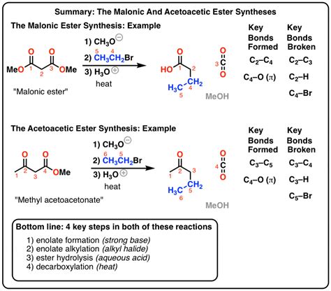 Malonic Ester Synthesis
