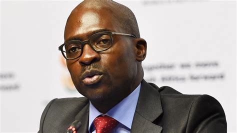 malusi gigaba biography examples