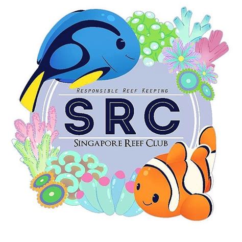 Mamislot   Mamislot Singapore Reef Club Marine Reef Fish Keeping - Mamislot