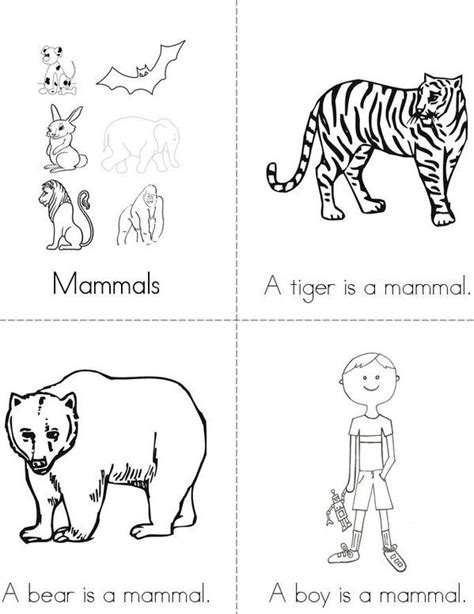 Mammal Activities For Kindergarten   Kindergarten And First Grade Animal Science Activity Sheets - Mammal Activities For Kindergarten