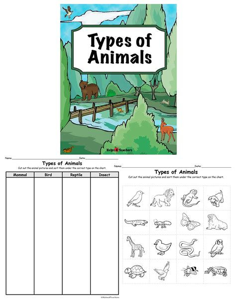 Mammals Grade 1 Worksheets Learny Kids Mammal Worksheet First Grade - Mammal Worksheet First Grade