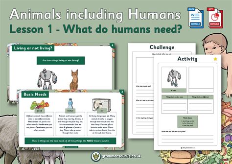 Mammals Ks1 Animals Including Humans Science Twinkl Mammals Kindergarten - Mammals Kindergarten