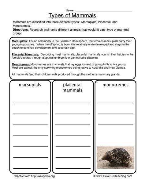 Mammals Worksheet 4th Grade   Grade 4 Science Worksheets - Mammals Worksheet 4th Grade