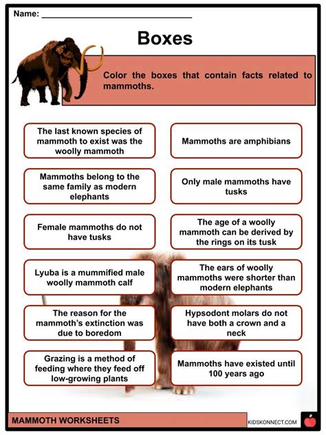 Mammoth Facts Worksheets Evolution Amp Description For Kids Mammoth Kindergarten Worksheet - Mammoth Kindergarten Worksheet