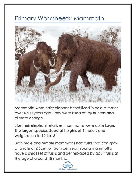 Mammoth Kindergarten Worksheet Mammoth Kindergarten Worksheet - Mammoth Kindergarten Worksheet