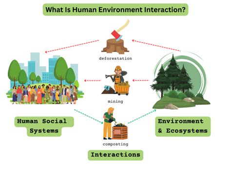 Man Environment Relationship