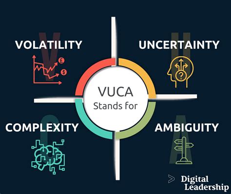 managing in a vuca world english edition