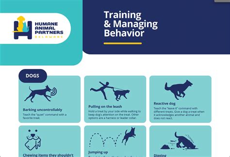 managing the human animal