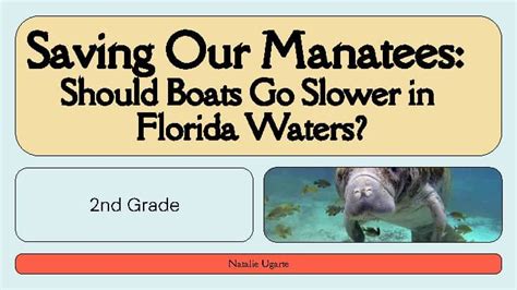 Manatee 2nd Grade