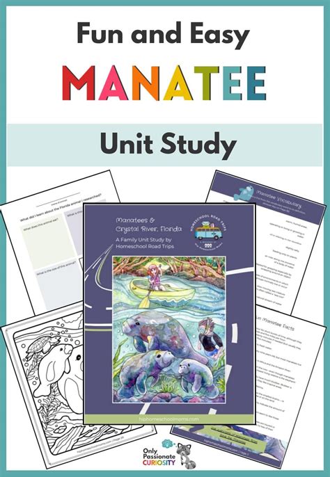 manatee core curriculum unit overview for kindergarten