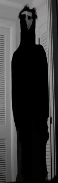 Mandela Catalogue Wiki Fandom