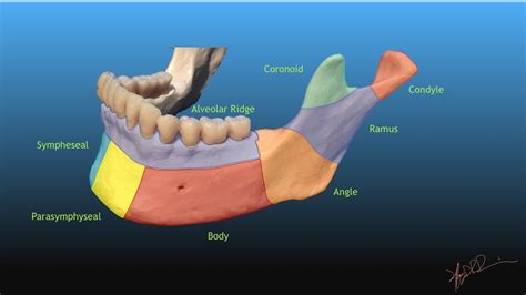 Mandibular Fracture Classification