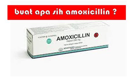 manfaat amoxicillin