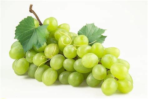 manfaat anggur hijau