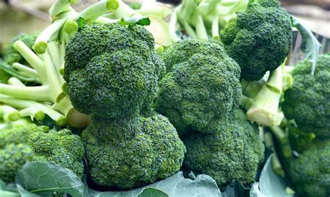 manfaat brokoli crispy